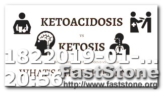 Keto Diet How Much Fat to Eat